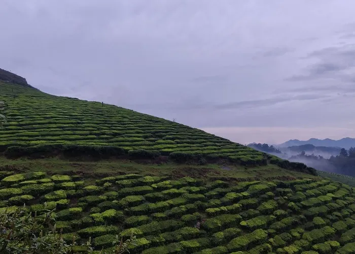 Hill Bird Heritage Home Stay