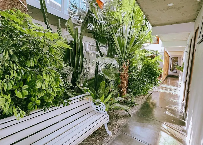 Hotel Puerto Chinchorro