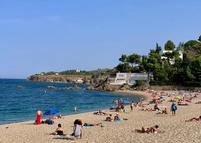 Studio 07 Argeles Sur Mer . La Plage A Pied, L'Espagne A 30 Mn