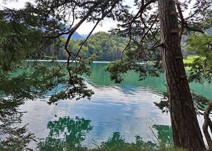 Ferienwohnung Alpenglück hoch3