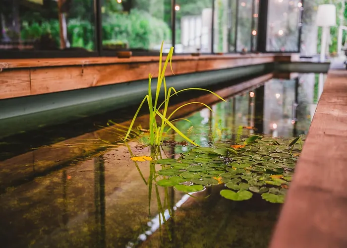Utopia Hotel - Art & Nature Hotel