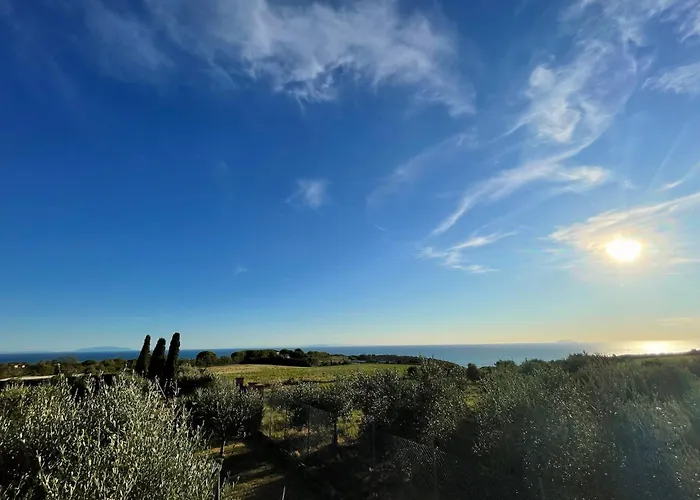 Sunset House