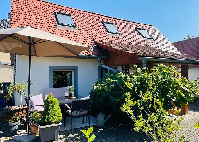 Ferienhaus Neuseenland
