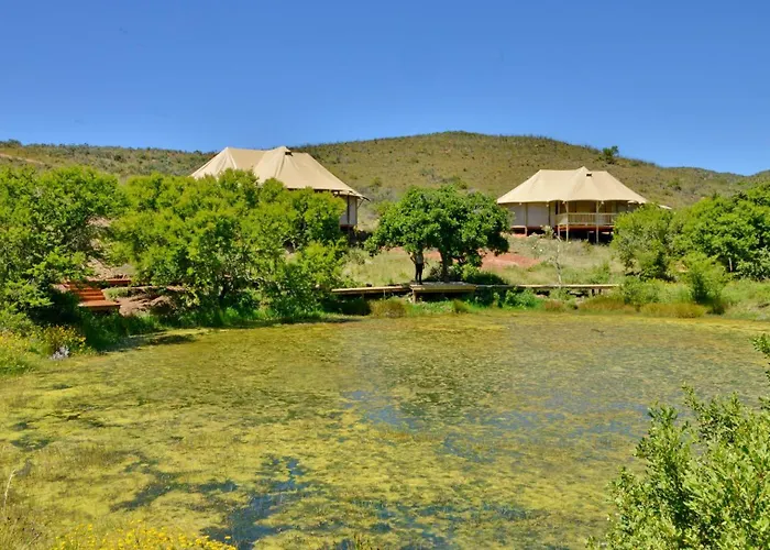 Garden Route Safari Camp