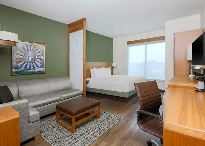 Hyatt Place Waco - South