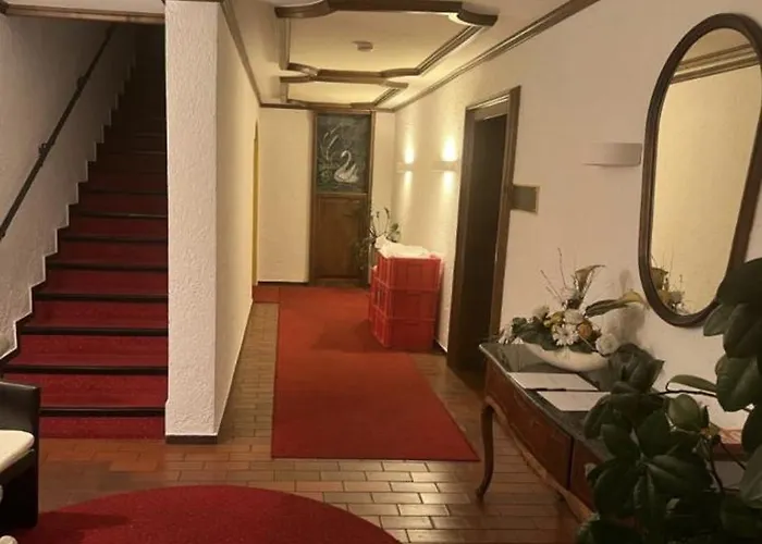 Hotel Schwan