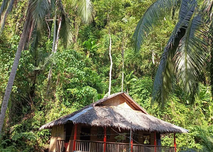 Nuts Huts