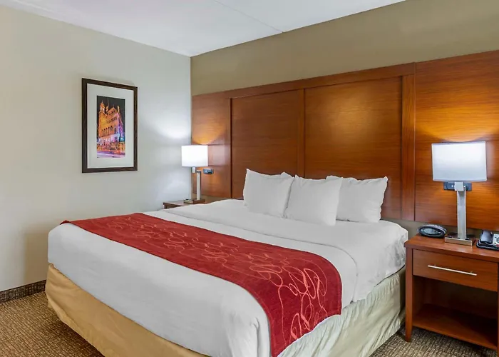 Comfort Suites At Virginia Center Commons