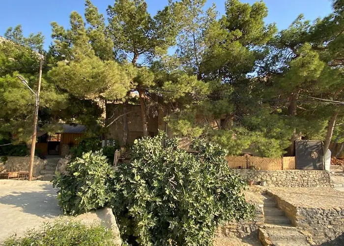 Dana Moon Hotel