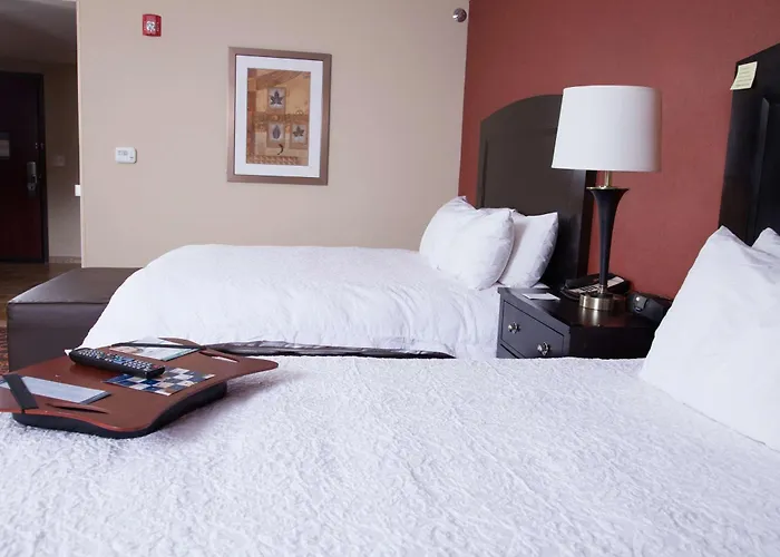 Hampton Inn & Suites Dickinson Nd