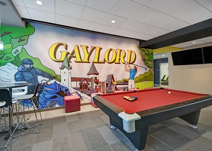 Tru By Hilton Gaylord, Mi