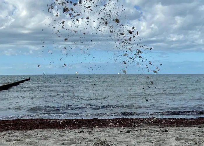 Ostsee-Ferienwohnung-Lipsia