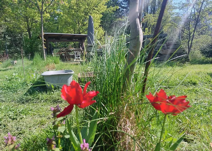Apartment GNUBBEL am Wald