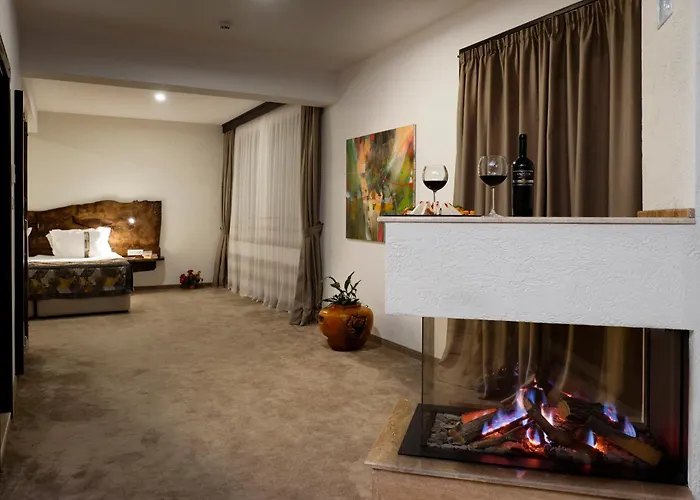 Wine & Spa Complex Starosel