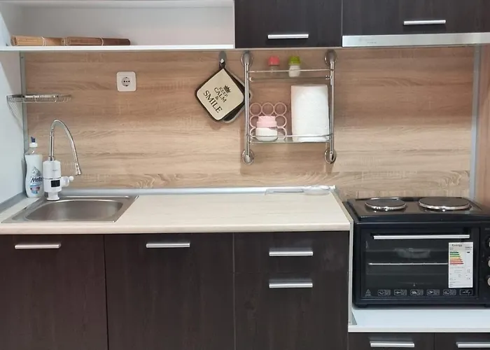 Domus Spacious Studio Apartment