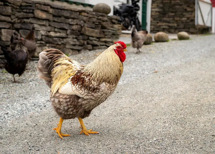Vakker Leilighet - Stor Parkeringsplass 10Min Fra Bergen