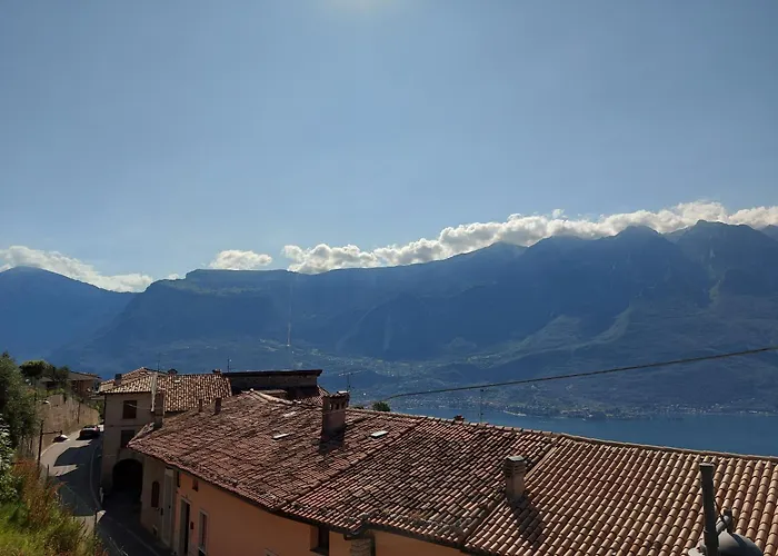Ulivi Sul Garda Garden By Gardadomusmea