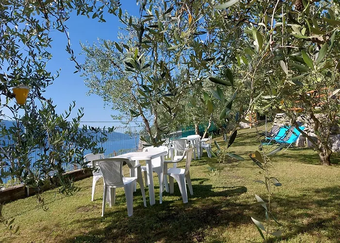 Ulivi Sul Garda Garden By Gardadomusmea