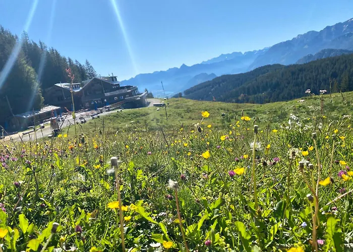 Ferienhaus Sommer