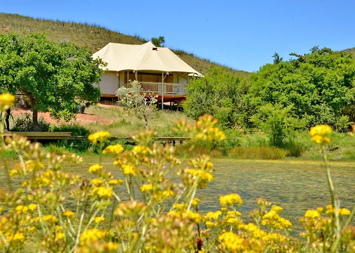 Garden Route Safari Camp
