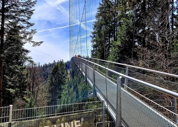 Aparthotel Schwarzwald Panorama