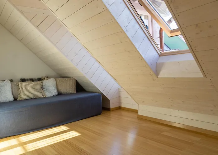 Schwarzwald Apartment City Studio