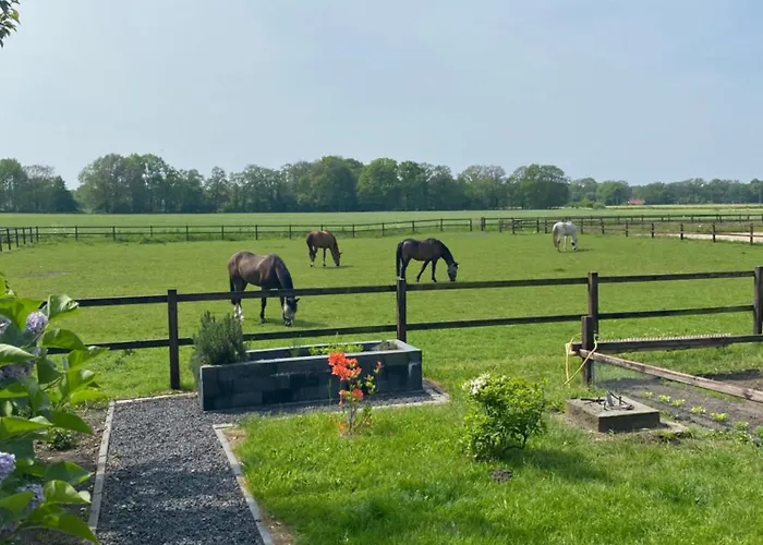 Erve Het Roolvink Boerderij Appartementen 40-50 M2