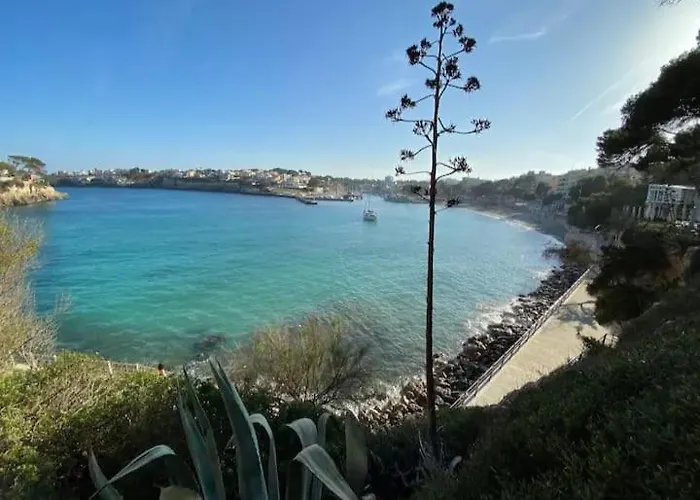 Houpla Porto Cristo