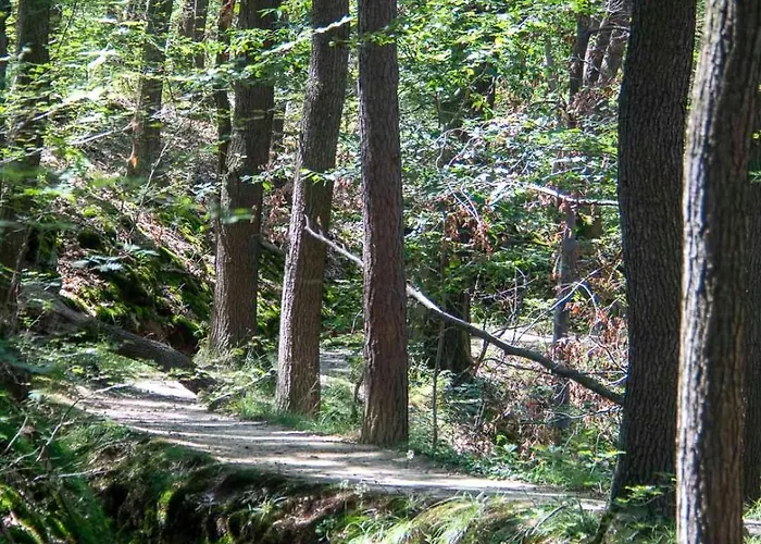 JS Feriendomizile: Fewo Hirschwechsel