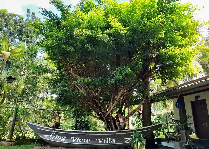 Ging View Villa