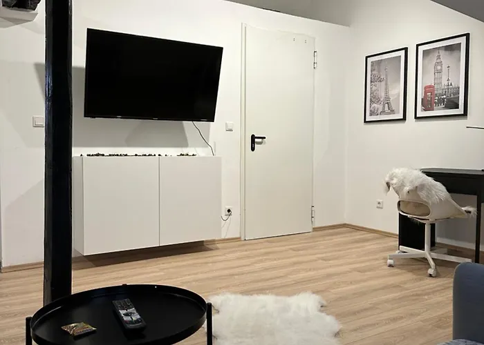 Modernes Loft am Dreiländereck