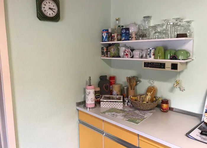 Retro Ferienwohnung mit Schlossblick im Nordschwarzwald