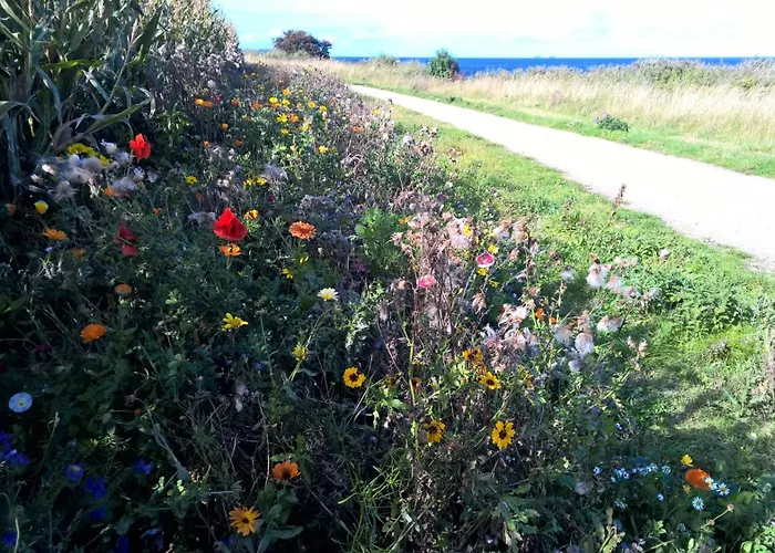 Fehmarn Sonne Meer