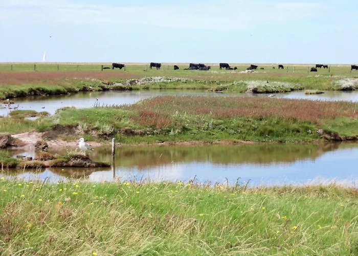 Haus Halligblick, Ferienwohnungen am Wattenmeer, WhgHooge