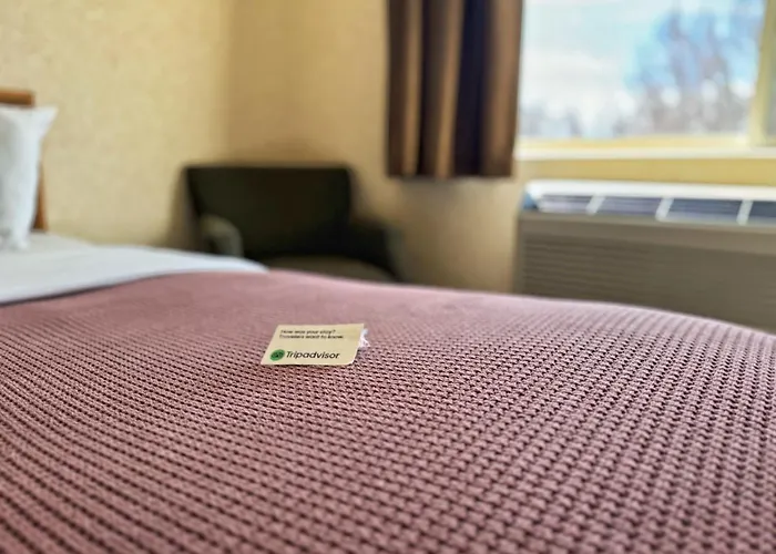 Stay Wise Inn Cedaredge