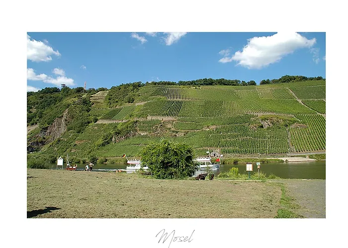 Ferienweingut Lütz