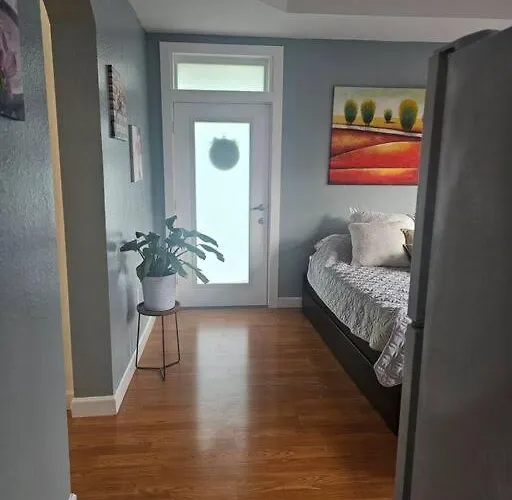 D&N Property Rental