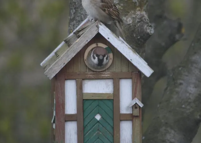 Lilla Huset Pa Slaetten B&B