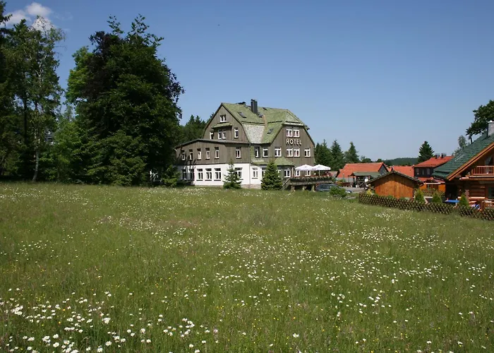 Waldhotel Auszeit Mit Restaurant & Cafe