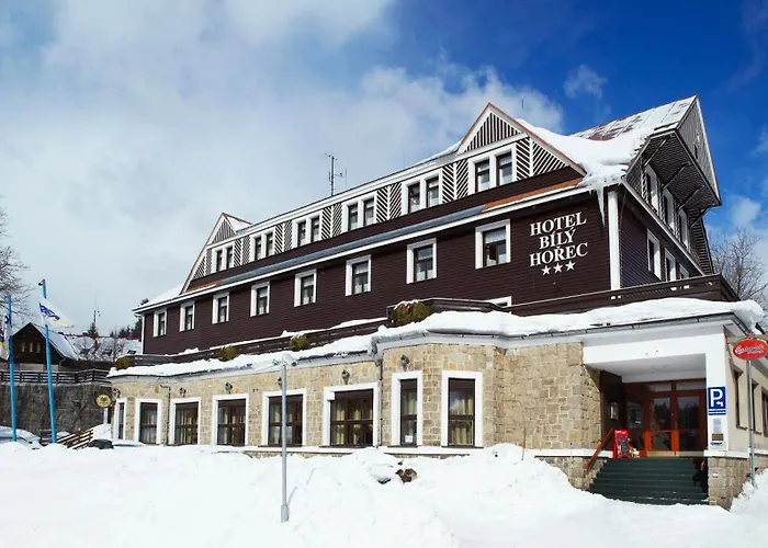 Spa Hotel Bily Horec