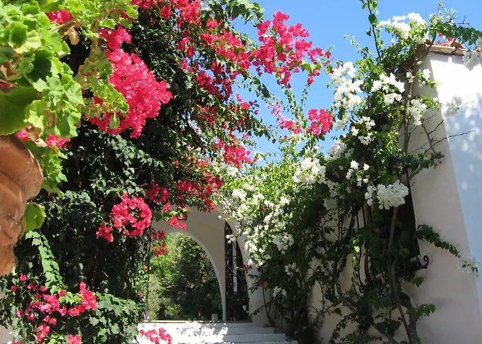 Hotel Punta Rossa