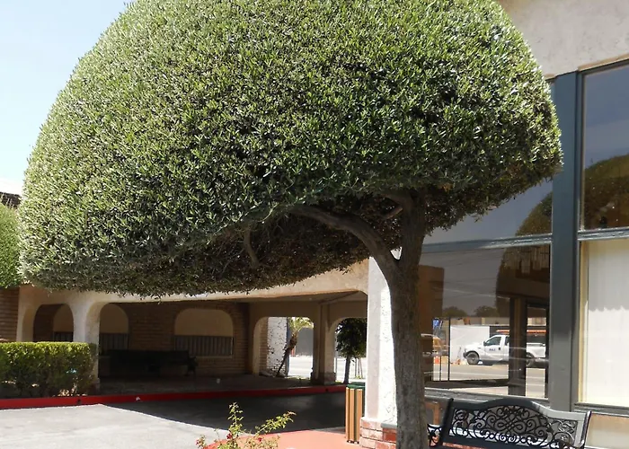 Vagabond Inn Glendale