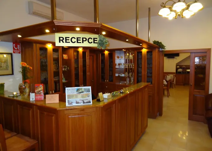 Hotel Pegas Brno