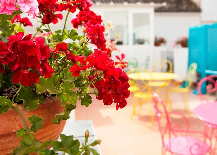 Casual De Las Letras Sevilla By Casual Hoteles
