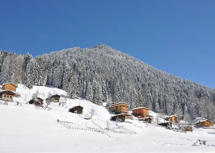 Ayder Hasimoglu Hotel