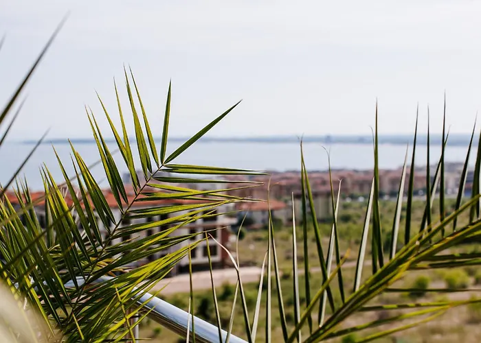 Red Iguana Hotel