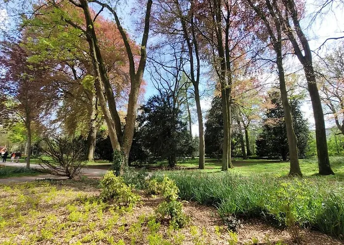 Mit Blick in den Emsseepark