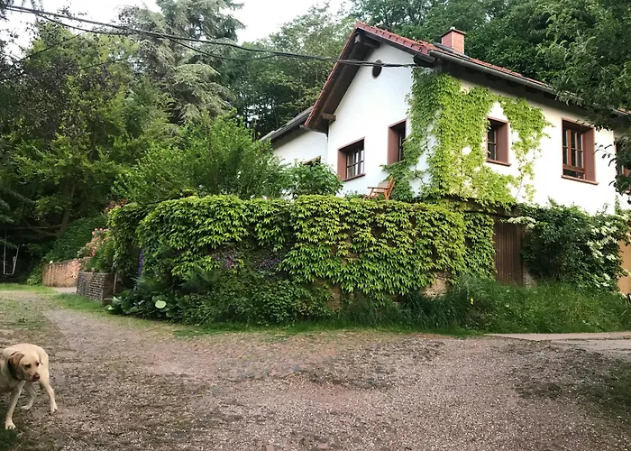 Ferienwohnung Grün und Aussichtsreich