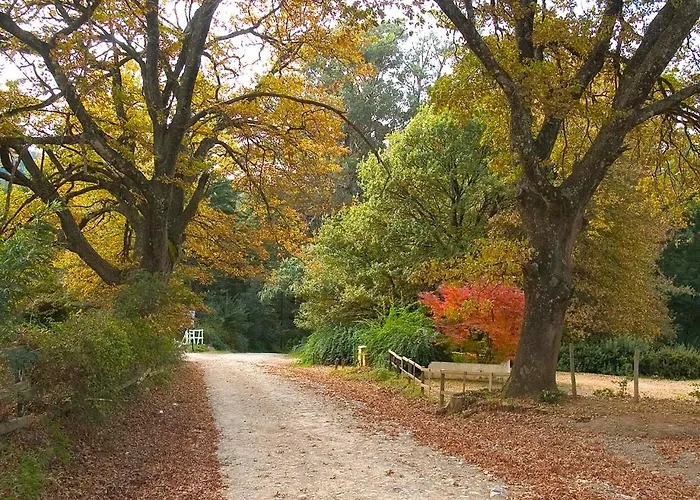 Hogsback Arminel Self Catering Cottages