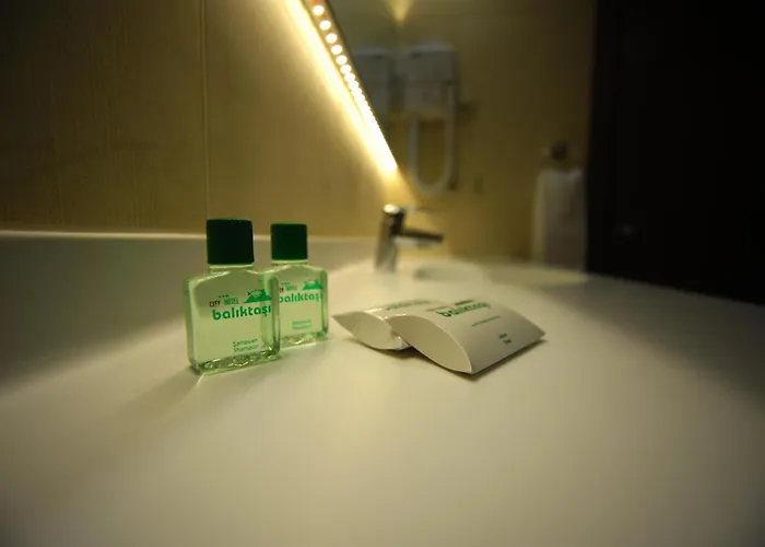 Baliktasi City Hotel & Spa